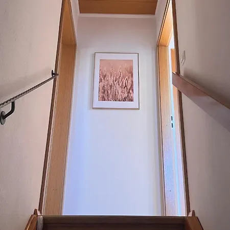 Schwarzwald Ii * Lenzkirch