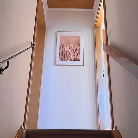 Black Forest Ii Apartment Lenzkirch